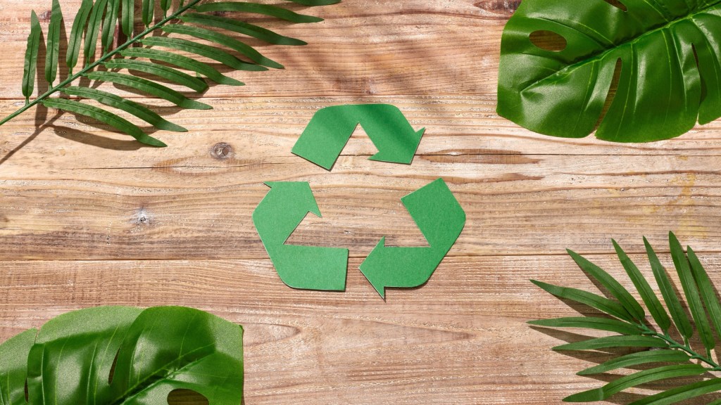 Impuestos Verdes y Plásticos de un Solo Uso: El nuevo reto para comercios y&nbsp;restaurantes